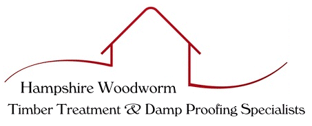 woodworm treatment Hampshire